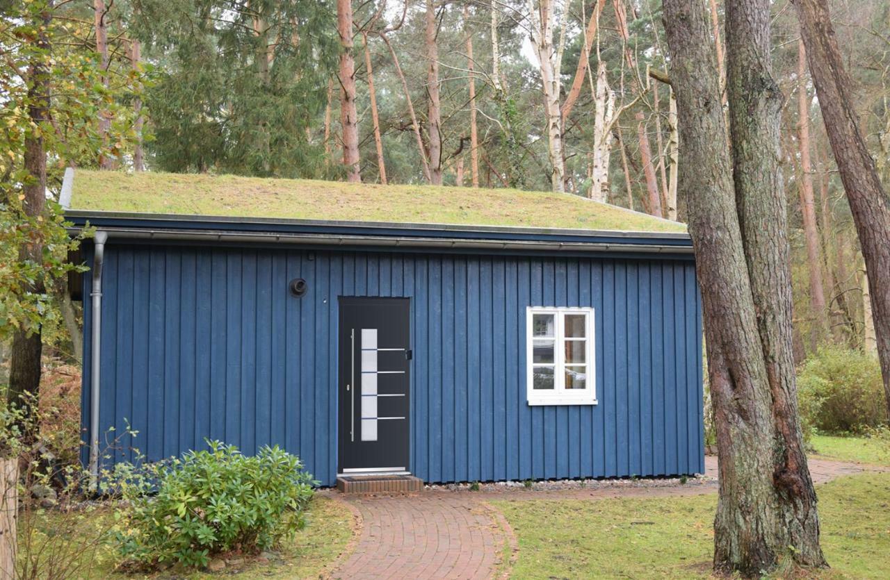 Chalet Zingst Exteriör bild